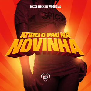 Atirei o Pau na Novinha