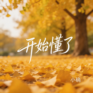 开始懂了（抖音飙升版）