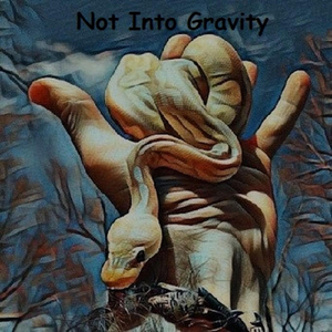 Not into Gravity