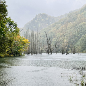 20231020 11:03am RAIN Miyama Lake (HPL2 Binaural)