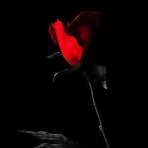 雪花的迷茫_伴奏