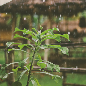 大雨雷鸣-提神静气