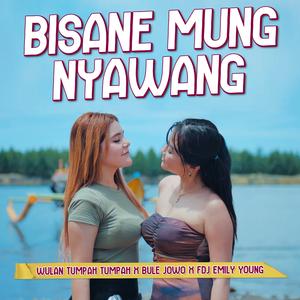 Bisane Mung Nyawang