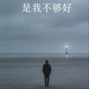 是我不够好（深情男版）