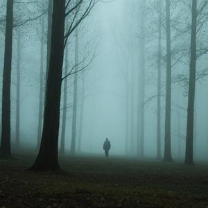 孟婆请给我来三碗