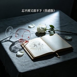 忘不掉又放不下（伤感版）