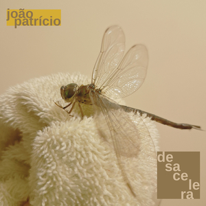 Desacelera