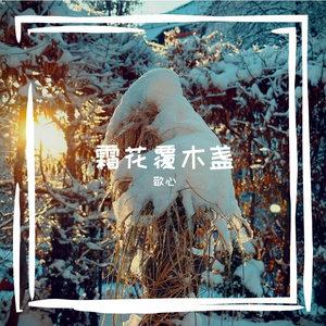 衣柜里冬眠的毛衣在做梦