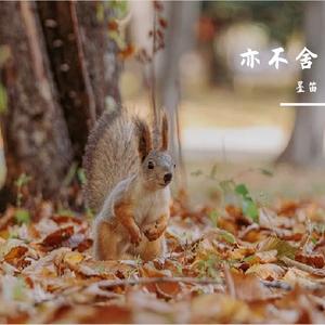 威尼斯的桥头（国风Jazz版）