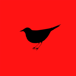 【FREE BEAT】不怕人的黑色小鸟