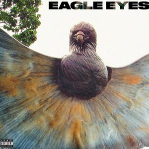 eagle eyes