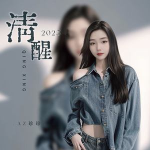 清醒2025 (加快版)