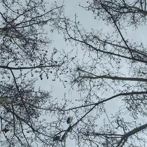 Yubei in the rain (渝北，云竹路)