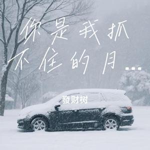 你是我抓不住的月光