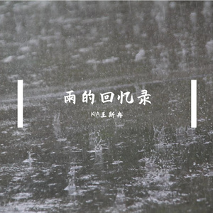 雨的回忆录