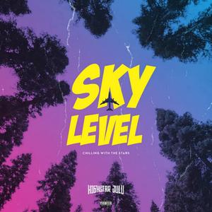 Sky Level (feat. Boy Camilo, Judo & Jay Tuki)