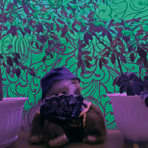 Умейте работать и отдыхать