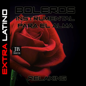 Bolero 10