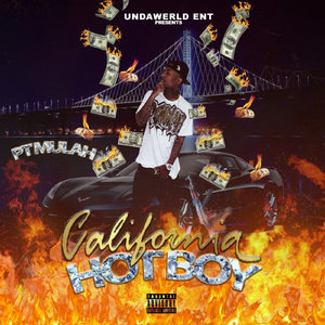 **** the Popo's (feat. Uwetrapdaddy)