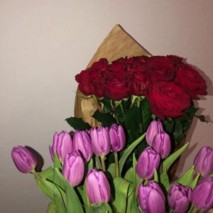 sunshine (feat. HARMAN)