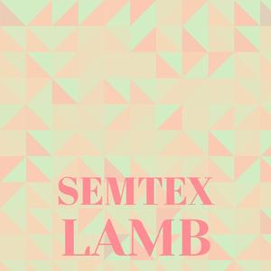 Sleepyheads Sogginess