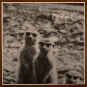 Erdmännchen