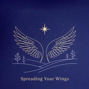 Spreading Your Wings