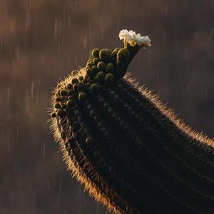 “Don look at me”