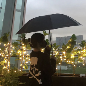 罪与爱(少女版)