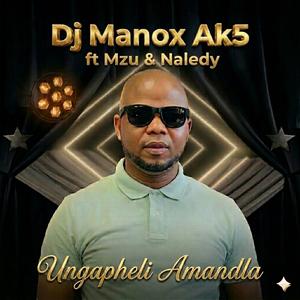 Ungapheli Amandla