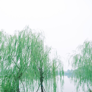 卡农舒缓小调 (优美轻音乐)