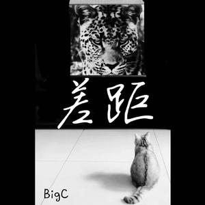 差距