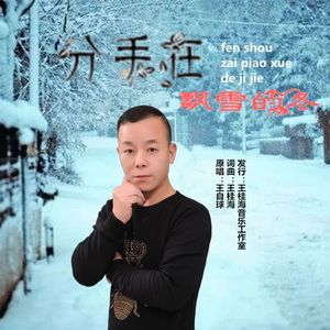 分手在飘雪的冬
