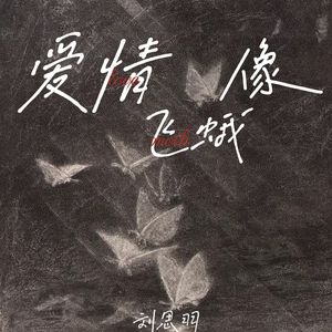 爱情像飞蛾