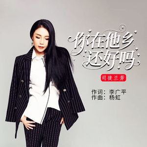你在他乡还好吗