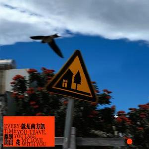 离别开出花 (DJHZ版)