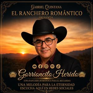 Gorrioncito Herido