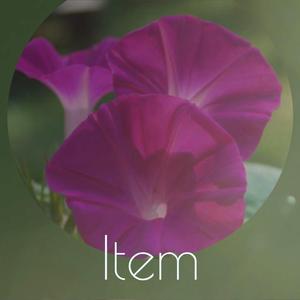 Item