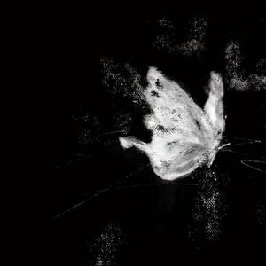 弱水三千（1.1x）