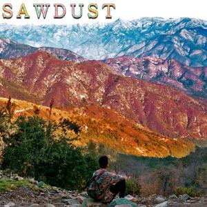 Sawdust