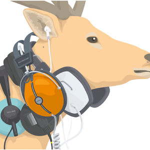 headphone music（自宅にて）