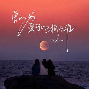 曾以为爱可以抵万难
