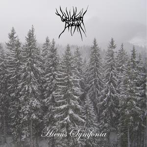 In the Shade of the Great Forest