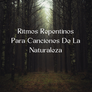 Sensación Eléctrica