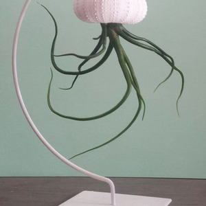 Love Nwantiti - slowed