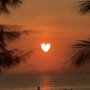 快向我告白 我们好恋爱 （Prod.by Rick1y）