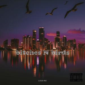 B*****s N Birds (feat. The Grime)