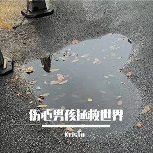 伤心男孩拯救世界