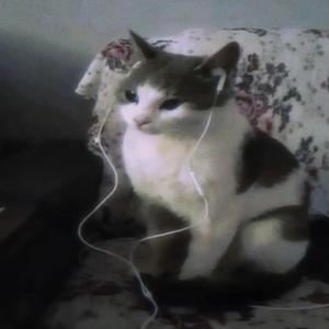 walk the plank (feat. mercenarychild)