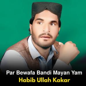Par Bewafa Bandi Mayan Yam